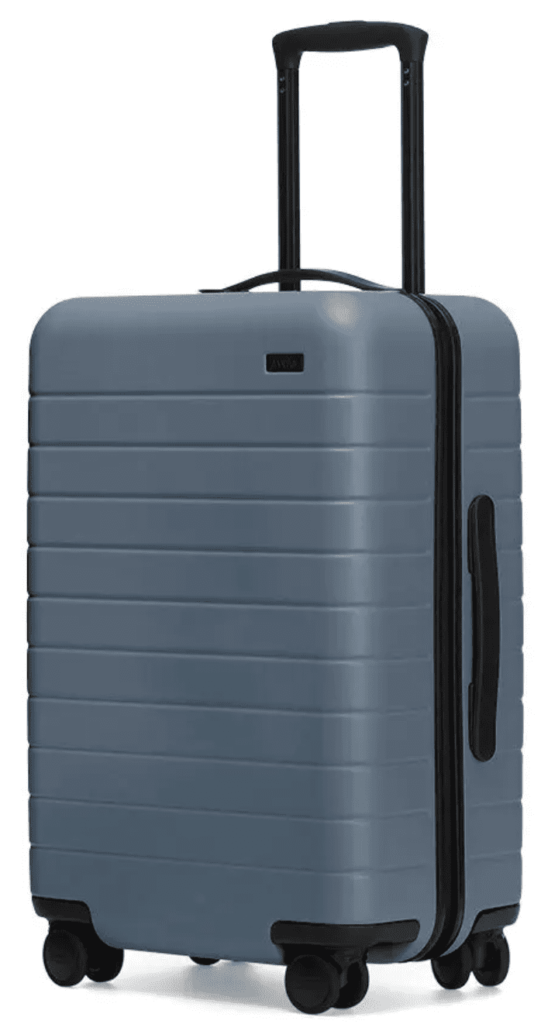 Away carryon travel bag